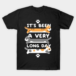 It's been a very long day T-Shirt